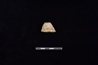 陶片藏品圖，第2張